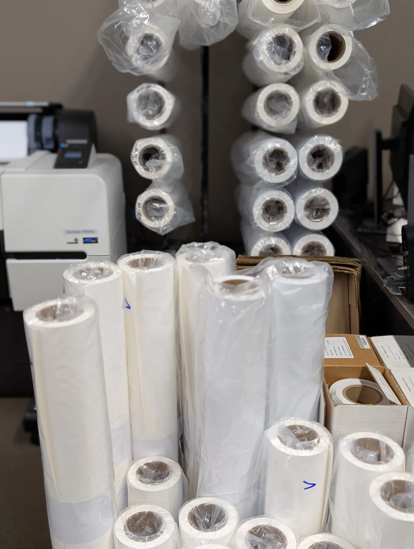 Cruise Ship Art Programs: Maritime Framing Challenges and Solutions